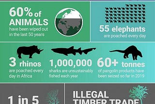 Sixth Mass Extinction