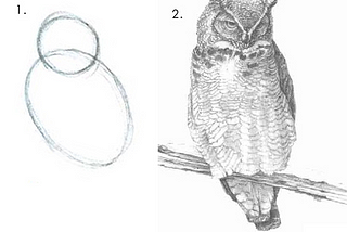 Instructions on How to Draw an Owl — Step 1: Draw some circles. Step 2: Draw the rest of the owl.