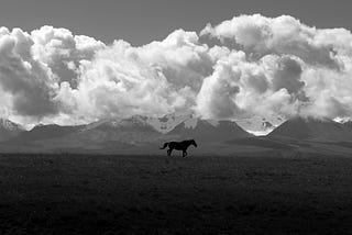 A lone horse against a backdrop of mountains and cloud.