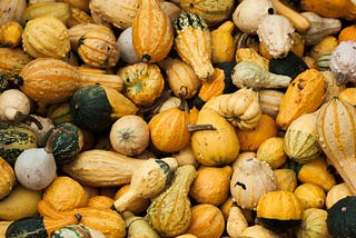 Being A Spaghetti Squash In A Pumpkin Carving World