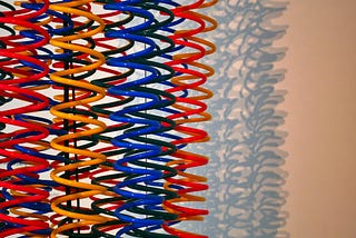 Leading in the Age of Acceleration: Building for Change Without Breaking Stability