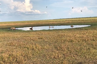 Liuwa Plains Natl Park — Zambia