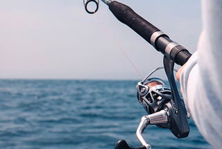 An image of fishing in a wide, blue ocean.