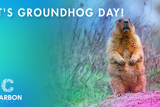 It’s Groundhog Day!