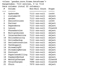 Data Cleaning Using Python: 5 Principle Points to Prepare The Data