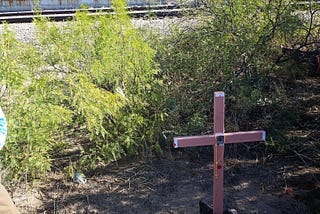 The Truth Behind the CBP One App: Restrictive Immigration Policies are Causing Migrant Deaths