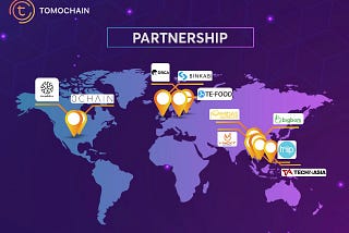 Growth and Adoption of the Tomochain Ecosystem