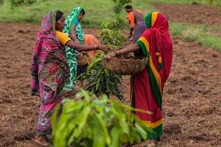 Gender issues in the agriculture sector in India