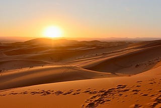A Wanderer in The Desert