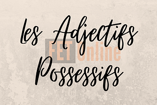 French Possessive Adjectives