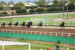 Efforts Made to Improve Performance and Safety of Horse Racing Turf