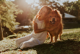 Children and Dogs — How to Train Your Dog to Be Calm with Children