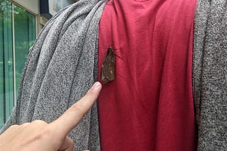 Advertencia heurística a un amigo a vísperas de una tragedia