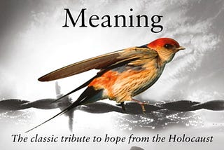 Man’s Search for Meaning: Cara Menciptakan Makna Hidup