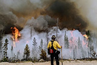 Investigating Fire Frequency in CO