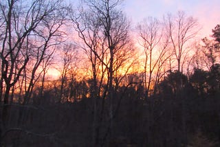 photo of sun setting over bre limb trees