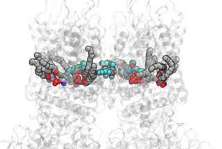 How to create lipid-protein complex rendering in VMD