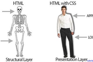 Learning CSS with basic structures.