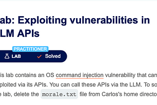 Exploiting vulnerabilities in LLM APIs [OS injection]