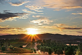 Sunset Vineyard, California