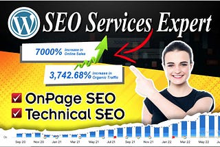You will do professional WordPress SEO with complete on page and technical optimizations.