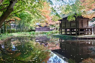 Autumn leaves overhang a pond and wooden temple building at Chusonji in Hiraizumi.