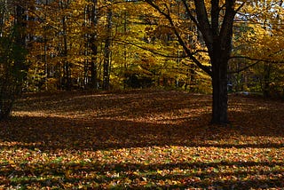 War of the Leaves.