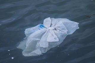 Single-Use Plastic: The Ultimate Guide to Plastic