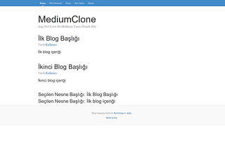 Asp .Net Core ile Medium Tarzı Blog Sitesi Yapımı-Model Eklemek