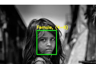 Using image data, predict the gender and age range of an individual in Python