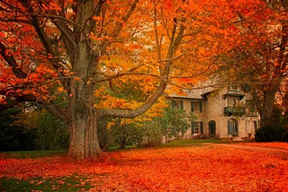 Norman Rockwell Museum, Stockbridge, Massachusetts