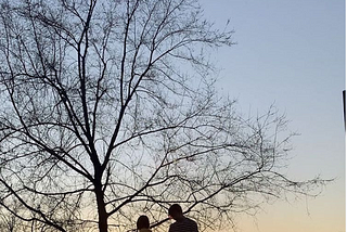 A picture of me and my partner behind a huge beautiful tree and a blue, yellow sunset.