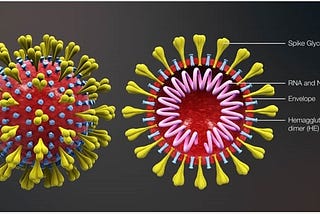 Can Long Covid Change Your Genetics?