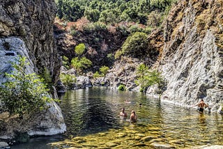 One Pandemic, 33 Hikes in the Bay Area — Ranked!