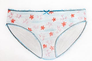 A drawing of a pair of classic cut women’s underwear with purple and red flowers on a blue background.