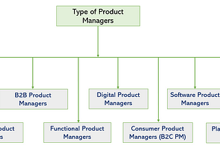 Fig:- Type of Product Managers