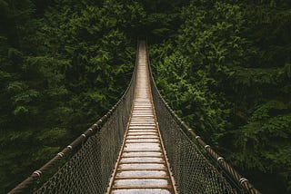 Daily Canyon Crossing