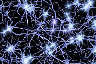 Optogenetics — Discovering How the Brain Works