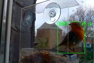 Automatic Bird Photography with Open-CV Object Recognition