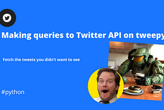 Making queries to Twitter API on tweepy