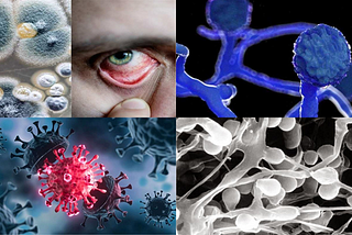 Black Fungus: New panic of pandemic
