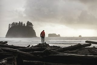 Paradise Falls: A Thriller