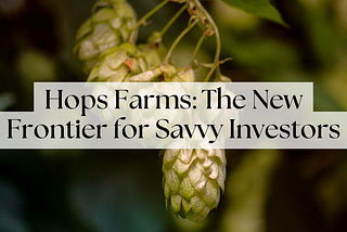 Hops Farms: The New Frontier for Savvy Investors