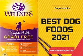 What Are The Best Dog Food Options in 2021?