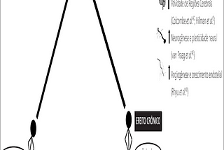 Influência Do Exercício Físico Na Cognição: Uma Atualização Sobre Mecanismos Fisiológicos