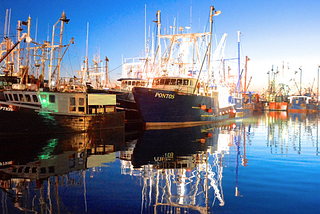 SACRED COD, SUSTAINABLE SCALLOPS