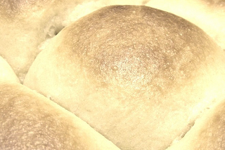 Yeast Bread — High Rise Dinner Rolls