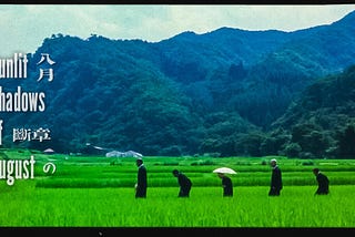 SUNLIT SHADOWS OF AUGUST