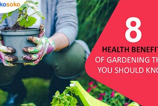 8 Health Benefits of Gardening that You Should Know — Hokosoko