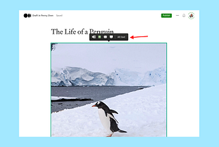 Screenshot of the Medium post edit page with a red arrow pointing to the “Alt text” button over an image.